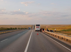 «У него две полосы было, а он - на встречную»: водитель автобуса рассказал подробности катастрофы в Камышинском районе, - V1.RU