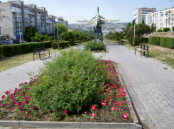 Десятки домов останутся без электричества в Камышине в 33-градусную жару завтра, 10 июля