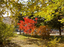 После холодного ясного вторника 26 октября Камышин попадет под дожди и теплую атмосферную волну