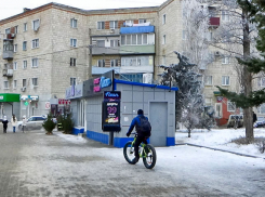 Камышане спрашивают у  городских властей, куда им выбрасывать использованные новогодние елки