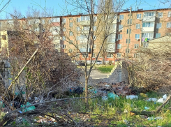 Администрация Камышина требует от горожан нанимать спецтранспорт для вывоза веток или покупать аппарат для их измельчения, но к мусоркам с ними не приближаться