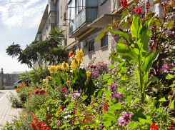 Кому «КамышинТеплоЭнерго» отключает горячую воду сегодня, 11 октября