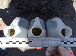 В Камышине задержали подозреваемых в незаконном обороте наркотиков