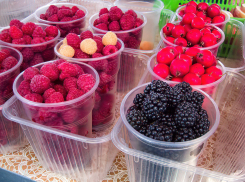 Камышин счастливо шокирует гостей города сентябрьскими ягодными десертами