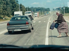 Камышинские водители увиливают от безумных пешеходов - обращение в редакцию  