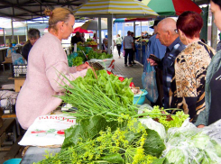Шокирующая рекомендация экспертов: пенсионерам предложили поесть просроченных продуктов, - «Блокнот - Россия»