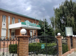 Камышане сняли очередное видеообращение по поводу своих страданий в истории с кооперативом-банкротом «Честь» и отправили его в Москву