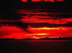 Выживший по первоначальным сводкам камышанин оказался мертвым, сгоревшим  заживо