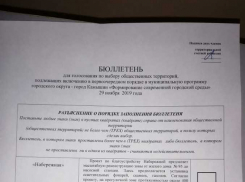 Камышан смутило оформление бюллетеней для голосования за площадки благоустройства