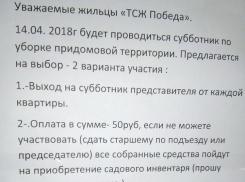 Субботник в Камышине стал платным?