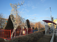 Паблик «Жесть. Камышин», не проверяя фактов, решил «подогреть» критическую заметку... оленем