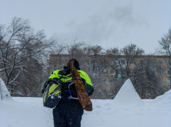 Камышан подстерегает гонконгский грипп