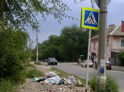 Сколько еще будет вонять эта мусорка на Калинина? - камышанин