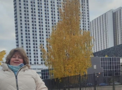 Собери букет по листику,  если хочешь в журналистику   