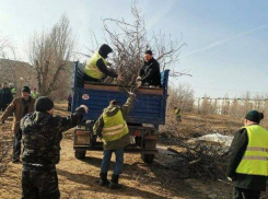 МБУ «Благоустройство» проинформировало, что на минувшей неделе из города вывезено 50 тонн мусора, и это только начало