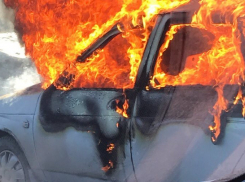 В Камышине на дачах сгорела «двенадцатая»