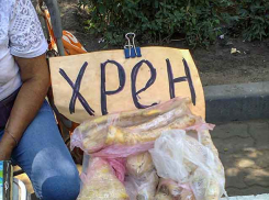 Камышанам рассказали, что надо есть, чтобы не напал «свиной» грипп