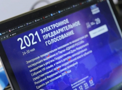 Cайт праймериз «Единой России» обрушился в первый день онлайн-голосования,- ИА «Высота 102»