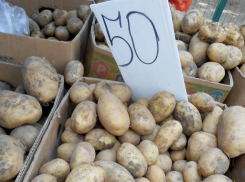 В Камышине ценники на картошку и помидоры сравнялись