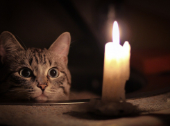 Волгоградэнергосбыт настроен решительно: собственникам  жилья отключают электричество за долги