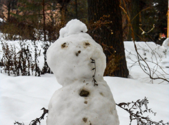 Легкий мороз и небольшой снег: погода в Камышине 6 января