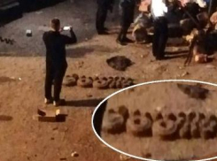 В Камышине в мусорном баке нашли муляжи боеприпасов, которые городские информресурсы попытались представить «минами современного производства»