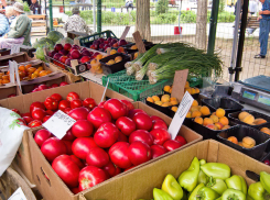 Сколько стоят овощи в овощной сезон в Волгоградской области
