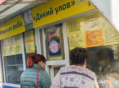 Затянули пояса: жители Волгоградской области снова сократили расходы, - «Блокнот Волгограда»