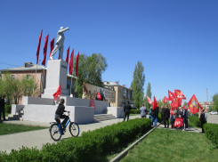  Навстречу 100-летию пионерии: почему в Камышине есть коммунисты, но нет пионеров?