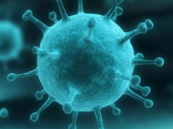 Гонконгский грипп атакует Россию, врачи бьют тревогу — взрослых «вырубает» за пару часов