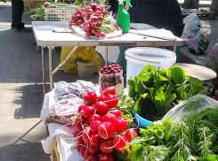 20 градусов тепла, солнце, но со свежим ветерком прогнозируют синоптики в Камышине в первый день длинных выходных