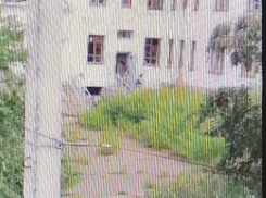 Камышане выложили в соцсетях видео малолетних разбойников, крушащих бывшую школу №1 (ВИДЕО)