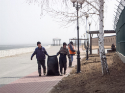 В Камышине уборку города начали с парка «Топольки» и набережной Камышинки, а жители спрашивают, когда пройдет высадка деревьев взамен вырубленных