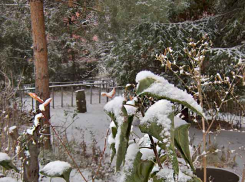 Следователи Камышина разбираются с трупом сторожа, обнаруженным под машиной