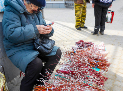 В Камышине местные активисты встали на защиту вербы