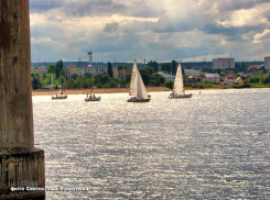 В Камышине начались гоночные дни Первенства России по парусному спорту