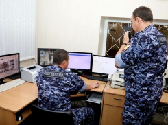 В Камышине росгвардейцам попался любитель пьяной езды, находящийся в федеральном розыске