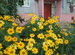 Синоптики предсказали камышанам резкую смену погоды - субботу 1 августа с дождем и грозой