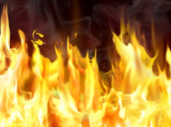 Сгоревшая два дня назад в Камышине иномарка попала на видео (ВИДЕО)