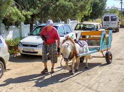 Две трети работающих жителей Волгоградской области спят меньше семи часов в сутки: хорошо это или плохо?