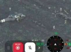 Перебит вертолетный десант элитных украинских спецназовцев: контрудар под Покровском не задался, - «Блокнот - Россия»