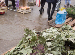 Группа активистов из Камышина послала письмо на «прямую линию» Путина, почему в Камышине нет бани