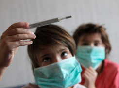 В Камышине два класса в школе №11 закрыли на карантин по гриппу