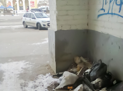 Кто устроил свалку в арке на улице Ленина в Камышине? Полиция мимо ходит, а свалка растет!» - камышанка