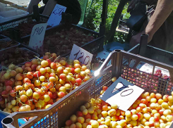 В Камышине «царицей» рыночных десертов стала черешня