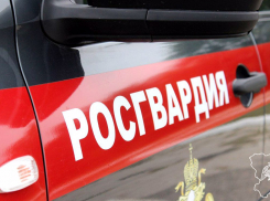 В первый день после праздников росгвардейцы поймали в Камышине похитителей  банковской карты и дамской сумочки