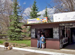 Главный единоросс Камышинской городской думы Игорь Скрипкин выиграл аукцион по прокату инвентаря для отдыха и продаже перекусов