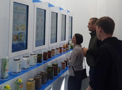 Волгоградская область выставила на ВДНХ соленья и варенья