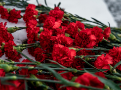 Власти Камышина опять решили праздновать годовщину победы под Сталинградом досрочно