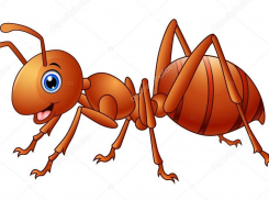 Камышане рассказали в соцсетях, что в школе №4 случилось нашествие муравьев (ВИДЕО)